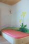 001-flower-draw-picture-home
